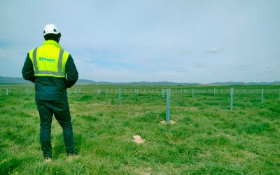 Rosseti Engenharia in the construction of the biggest photovoltaic solar park in Europe